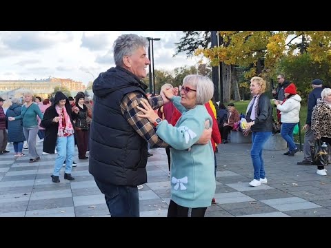 Видео: 5 ОКТЯБРЯ 2025 БЕЛАЯ, БЕЛАЯ СИРЕНЬ ОСЫПАЕТСЯ! #kharkiv 
