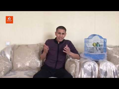 Видео: Тоты құстың пайда болуы