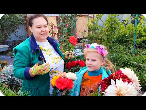 Видео: Садово-огородный влог. Цветы, курочки, дачные работы. 