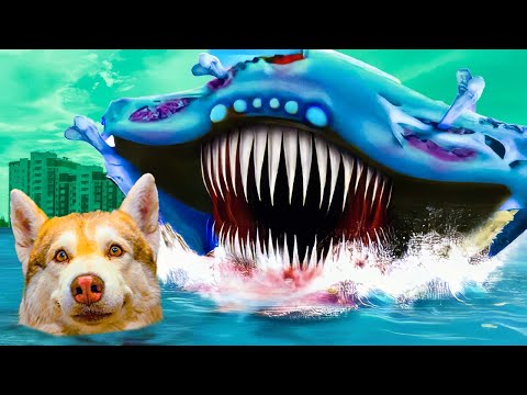 Видео: ЭЛЬ ГРАН МАЙЯ ЗАТОПИЛА НАШ ГОРОД!! Хаски Бублик Говорящая собака Mister Booble