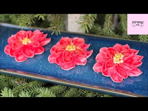 Видео: Пуанцетія ( Різдвяник) із зефіру. Ще один варіант 👍