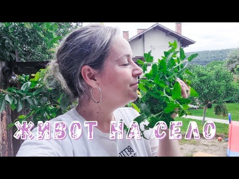 Видео: ЖИВОТ НА СЕЛО - Рожден ден на Савата ! Сироп от бъз , стрелба с най-различни оръжия, първи Юни