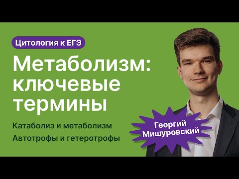 Видео: 2.46. Метаболизм: ключевые определения | Цитология к ЕГЭ | Георгий Мишуровский