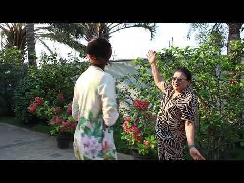 Видео: Рай для солнцелюбивых горшечных растений в самом сердце Лусаки | 18-летний опыт садоводства