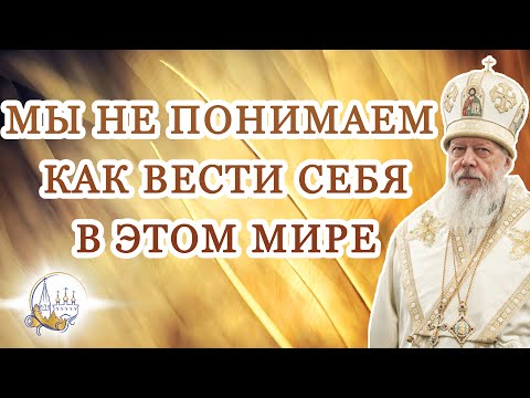 Видео: Мы не понимаем как вести себя в этом мире