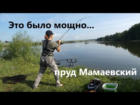 Видео: Что творится на Мамаевке?😱 1,5 суток без сна