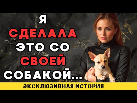 Видео: Пёс сделал то, чего не смог муж
