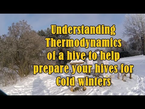 Видео: Понимание термодинамики поможет вам подготовить улей к зиме