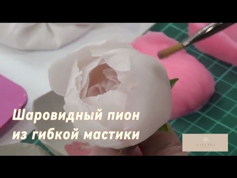 Видео: Шаровидный пион из гибкой мастики Елены Решетняк