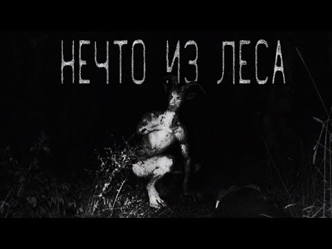Видео: Нечто из леса | Страшная история | DanDyyTanK