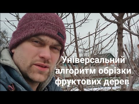 Видео: Обрізка черешні. Правила та алгоритми обрізки фруктових дерев.