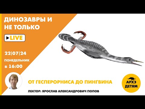 Видео: Занятие "От гесперорниса до пингвина" кружка "Динозавры и не только" с Ярославом Поповым