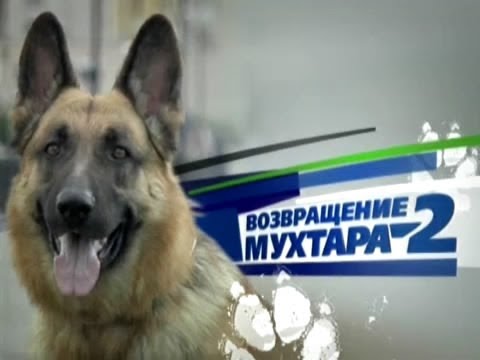 Видео: Muchtaro Sugrįžimas 2/Возвращение Мухтара 2 Kiešos šokis