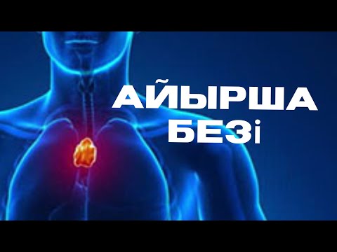 Видео: Айырша безі | Қызметі | Құрылысы #thymus