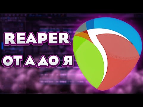 Видео: REAPER ДЛЯ НОВИЧКОВ - от А до Я