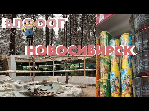 Видео: ВЛОГ НОВОСИБИРСК