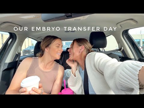 Видео: день из жизни: день переноса эмбриона