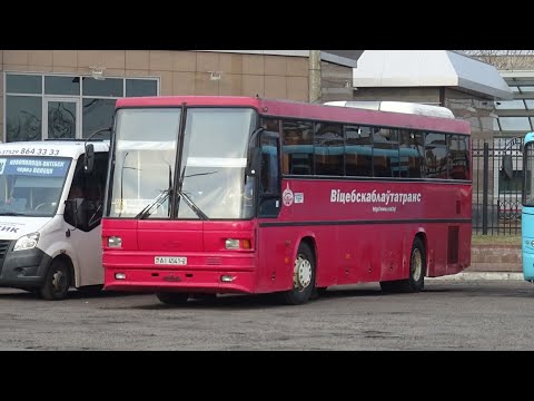 Видео: Автобус АВ Витебск - АС Бешенковичи