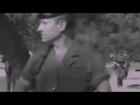 Видео: (Би 2 легион) всем Кто служил и служит во французском иностранном легионе посвящается