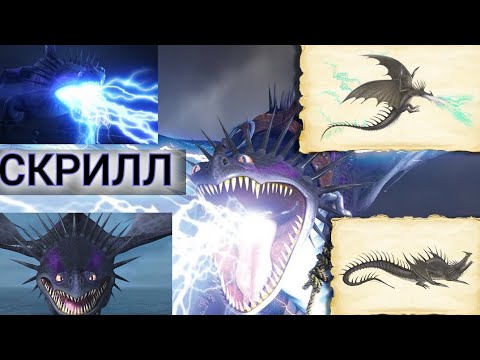 Видео: СКРИЛЛ! ИНФОРМАЦИЯ О ДРАКОНЕ, КОТОРЫЙ ДОШЁЛ ДО ФИНАЛА! СКОРО ФИНАЛ!