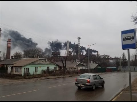 Видео: Еду осматривать старые плодовые  деревья !  КОСАЯ ГОРА , город Тула