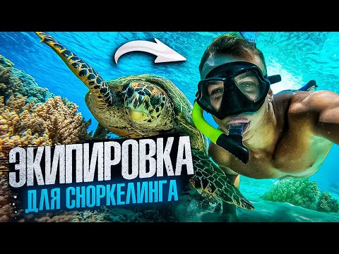Видео: Экипировка для снорклинга | Снорклинг
