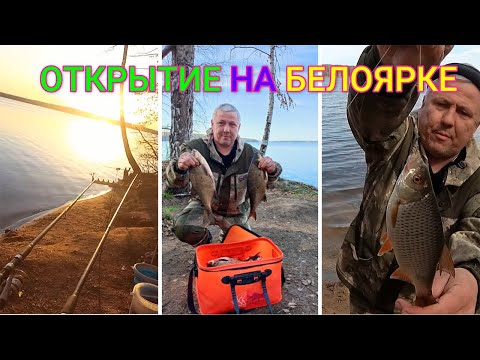 Видео: БЕЛОЯРСКОЕ ВДХР. ОТКРЫТИЕ 8-9 МАЯ 2022. ЛЕЩ. ЧЕБАК .ОКУНЬ