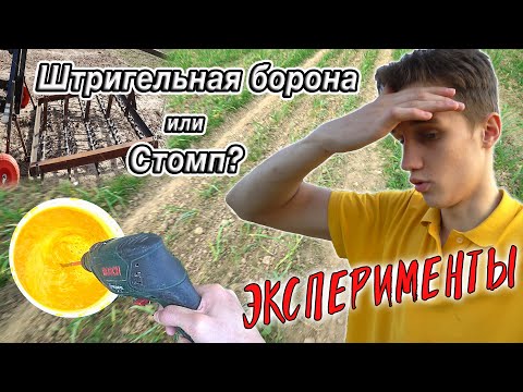 Видео: Борьба с СОРНЯКАМИ в чесноке