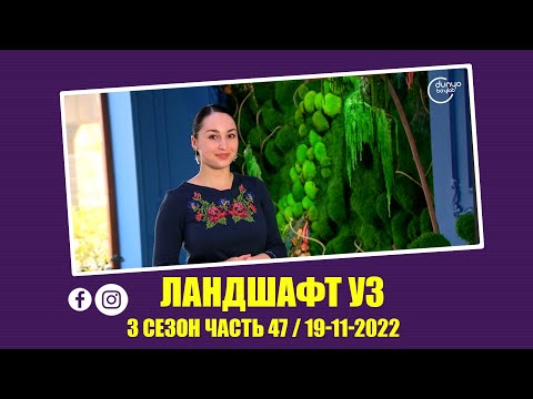 Видео: ландшафт уз 3 сезон часть 47 / 19-11-2022