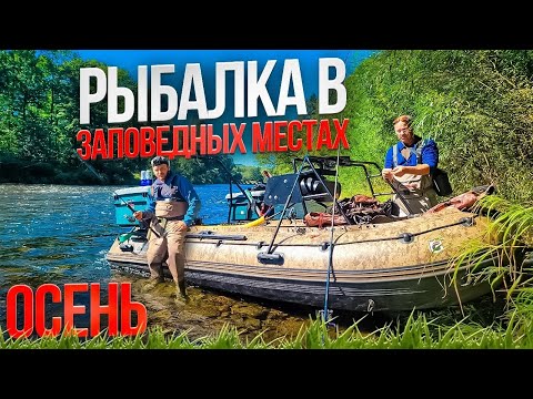 Видео: РЫБАЛКА В ЗАПОВЕДНЫХ МЕСТАХ.ОСЕНЬ