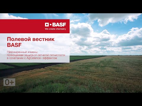 Видео: Полевой вестник BASF. Пивоваренный ячмень: защита от сетчатой пятнистости + AgCelence-эффект