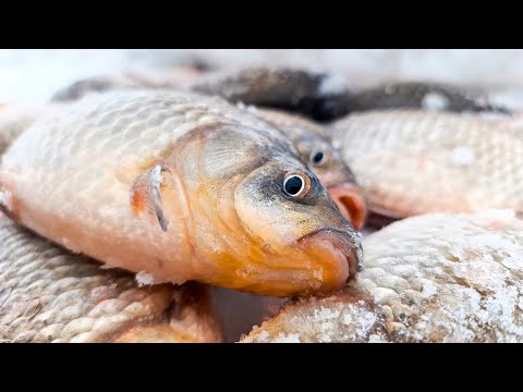 Видео: Нарвался НА КРУПНЯК в ЭТОЙ ЛУНКЕ!! Караси СОШЛИ С УМА, и КЛЮЮТ В ЯНВАРЕ!! ЗИМНЯЯ РЫБАЛКА на КАРАСЯ