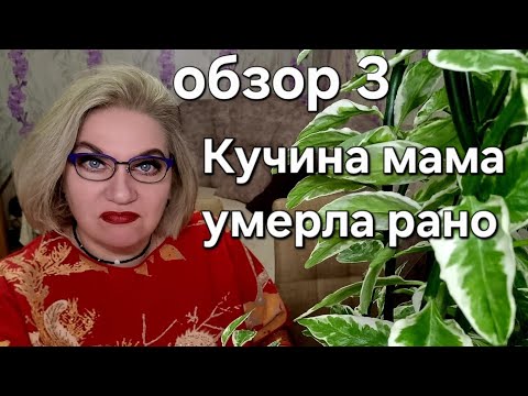 Видео: Кучина мама умерла рано 