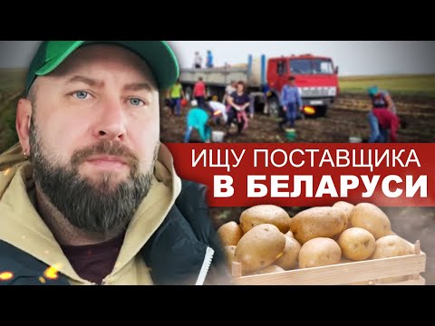 Видео: Ищу Поставщиков Картофеля в Беларуси. Найти Поставщика ДЛЯ СТАРТА. Бизнес Без Вложений. Бизнес идеи