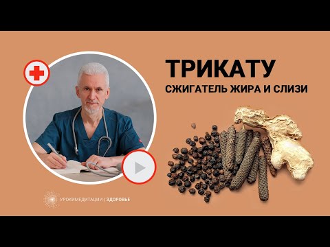 Видео: ТРИКАТУ: лучший сжигатель слизи и жира