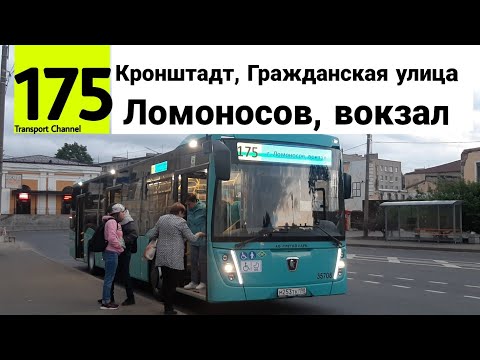 Видео: Автобус 175 "Кронштадт, Гражданская улица - Ломоносов, вокзал" НеФАЗ-5299-40-57 (LNG) б/н 35708