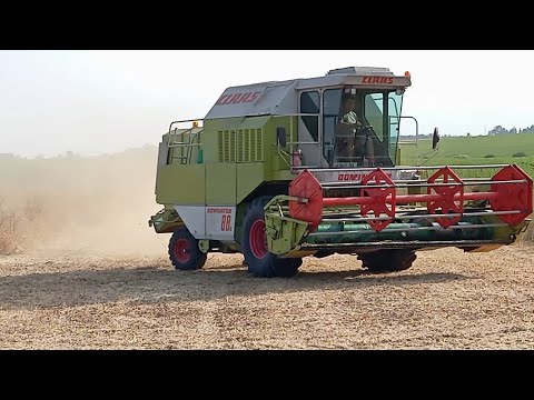 Видео: Молотіння сої.