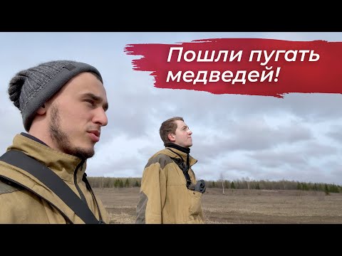 Видео: Ушли в лесную избу на 5 дней.  Шумные развлечения и быт в дали от дома.