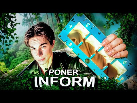 Видео: PONERINFORM! ОБЗОР НА ПЕРВЫЕ В МИРЕ МОДУЛЬНЫЕ МУРАВЬИНЫЕ ФЕРМЫ ДЛЯ ПОНЕРИН! PONERINFORM🤯