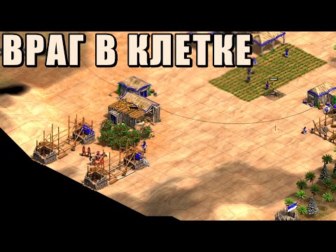 Видео: ХАЙ ЛЕВЛ ДУЭЛЬ | Винч против топа из Тайваня в Age of Empires 2