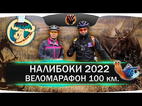 Видео: Марафон Налибоки 2022. Веломарафон 100 км.