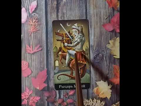 Видео: Для начинающих.Таро безумной луны.Карты двора.Рыцарь Мечей