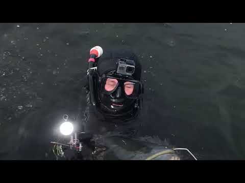 Видео: Подводная охота -Балхаш