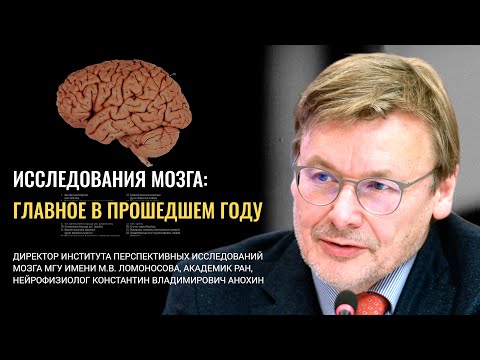 Видео: Исследования мозга: главное в прошедшем году. Константин Анохин