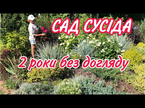 Видео: САД СУСІДА 2 роки БЕЗ ДОГЛЯДУ.ЩО вижило?