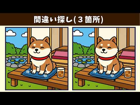 Видео: Найдите 3 отличия | Иллюстрация Версия #2048