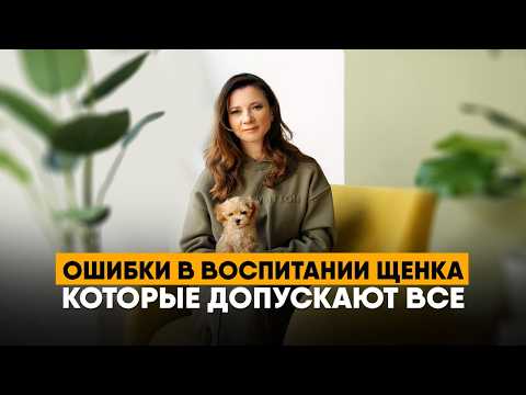 Видео: Как правильно воспитать щенка. Советы по дрессировке, комфорту и безопасности.
