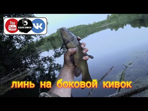 Видео: Линь на БОКОВОЙ КИВОК...