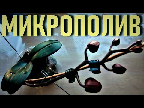 Видео: МИКРОПОЛИВ ДЛЯ БЫСТРОЙ АДАПТАЦИИ И ЦВЕТЕНИЯ ОРХИДЕЙ! БЫСТРАЯ АДАПТАЦИЯ ПОСЛЕ ПЕРЕСАДКИ И ОТДЕЛЕНИЯ!🎄