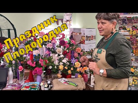 Видео: Подготовка роз к зиме